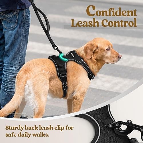 rabbitgoo Dog Harness, No Pull for Large Dogs with 2 Leash Clips, Pet Vest | No Choke with Handle, Adjustable Soft Padded, Reflective, Easy Control for Walking, Black, Large thumbnail 6