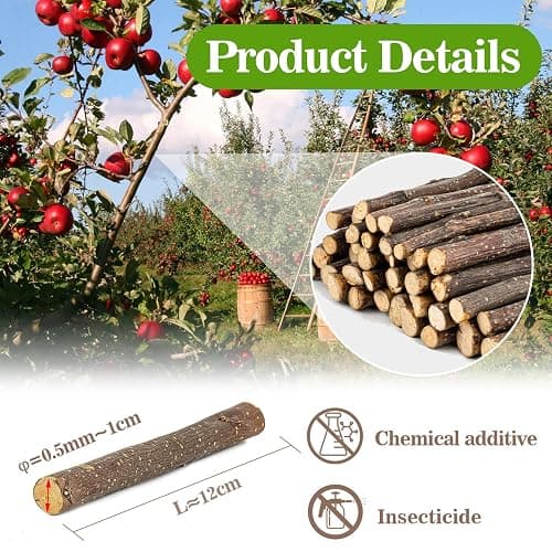 Sukh Natural Organic Apple Sticks - 250g Hamster Chew Stick Hams Rabbit Bunny Gerbil Guinea Pig Squirrel Chinchilla Small Animal Chew Sticks thumbnail 2