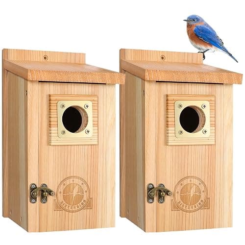 SISTERBIRD 2 Pack Bird Houses for Outside Clearance with Copper Guard, Cedar Bird House Outdoor, Bluebird Finch Swallow Wren Chickadee Assembly Required - Image 1