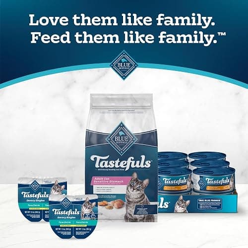 Blue Buffalo Tastefuls Adult Dry Cat Food Sensitive Stomach Formula, Made in the USA with Natural Ingredients, Chicken Recipe, 7-lb. Bag thumbnail 9