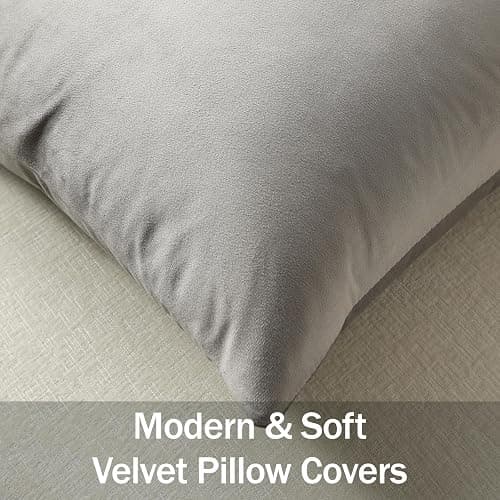 DEZENE Throw Pillow Covers 18x18 Light-Grey: Pack of 2 Cozy Soft Velvet Square Modern Luxury Decorative Throw Pillow Cases for Sofa Couch Living Room Bed Home Decor thumbnail 2