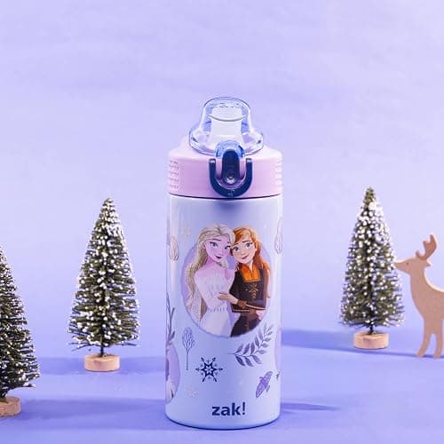 Zak Designs Disney Frozen Sage Kids Water Bottle For School or Travel, 14oz Stainless Steel Water Bottle With Straw, Handle, and Leak-Proof, Pop-Up Spout Cover (Anna & Elsa) thumbnail 4