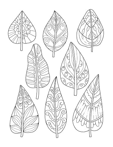 Mindfulness Patterns: Coloring Book with Creative Pattern Designs for Stress Relief and Relaxation thumbnail 6