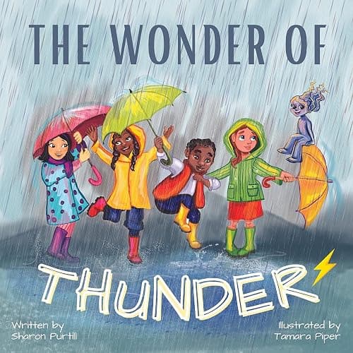 The Wonder Of Thunder: Lessons From A Thunderstorm - Image 1