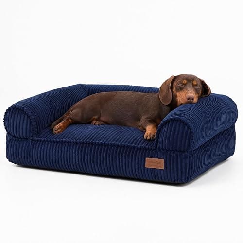 FUKUMARU Dog Couch Bed, Corduroy Cozy Cat Bed for Indoor Cats with Washable Cover, 28in Waterproof Orthopedic Dog Beds Sofa for Small Dogs and Large Cats, Cute Warm Cotton Pet Sofa, Blue - Image 1