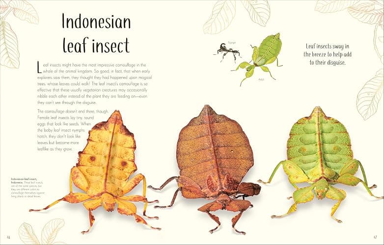 An Anthology of Remarkable Bugs (DK Children's Anthologies) thumbnail 4