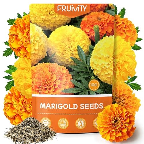 Fruivity Petite French Marigold Seeds for Planting, 400+ Flower Seeds Non-GMO Heirloom Seed Packet,Home and Garden Easy to Grow, Indoor & Outdoor Gardening, Companion Plant & Quick Blooming - Image 1