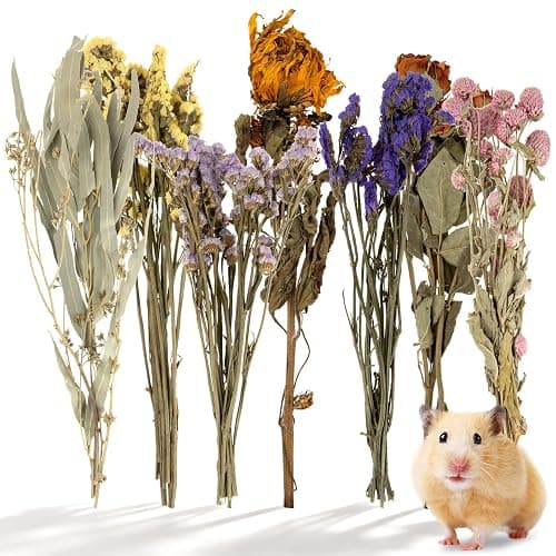 Sukh Hamster Bedding Sprays Habitat Decor - Natural Hamster Cage Accessories with Floral Forage, Layered Small Animal Habitat Decor for Hamster Enrichment, Syrian Hamster Hideout Cage Decor - Image 1