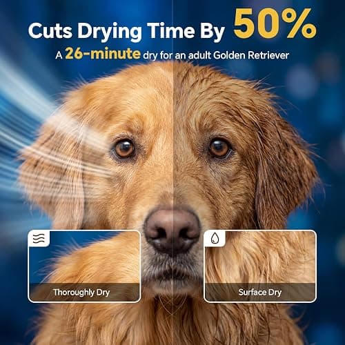 Dog Dryer High Velocity Dog Hair Dryer 5.2HP/2800W, Stepless Adjustable Speed Temperature Dogs Grooming Blaster Dryer, Pet Dryer with 4 Nozzles,Blow Dryer for Dogs(Black) thumbnail 4