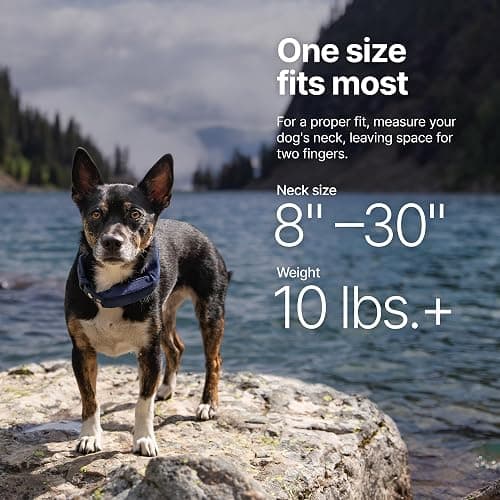 Halo Collar 5, New Wireless Dog Fence & GPS Dog Collar, Subscription Required, Waterproof, Blaze, One Size thumbnail 6