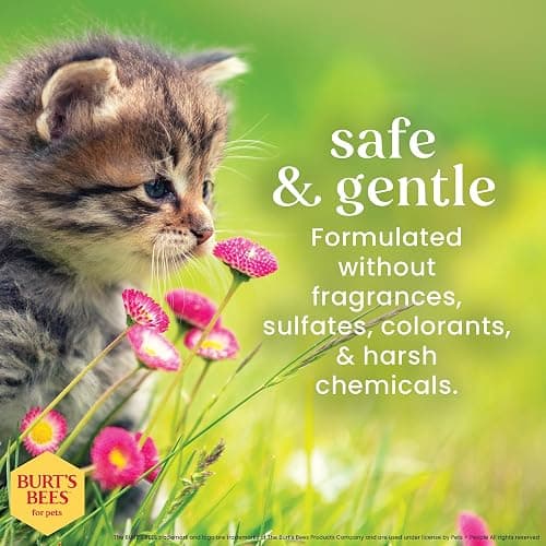 Burt's Bees for Pets Tearless Kitten Shampoo with Buttermilk and Honey, 99% Natural Origin Gentle Cat Shampoo for Sensitive and Itchy Skin, pH Balanced and Fragrance-Free, 10 Fl Oz thumbnail 5