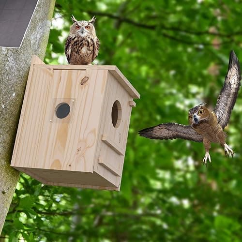 Solar-Powered Smart Owl House with Camera - Outdoor Hanging Wooden Nesting Box, Real-Time View & Motion Detection, for Garden for 2.4g WiFi Coverage Area, for Owl Lovers thumbnail 4