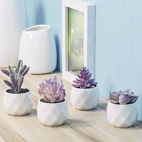 CADNLY Fake Succulent Plant Set - Artificial Desk Plants for Women Desk - Realistic Faux Succulents in Ceramic Pots - Mini Purple Decor for Bedroom Bathroom Office Shelf 4 Pack thumbnail 2