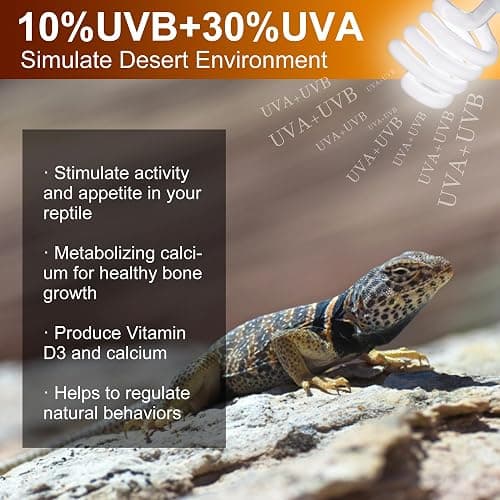 Jugbuy UVB Reptile Light Bulb 10.0, 23W UV Spiral Compact Florescent Terrarium Lamp Ideal for Desert Reptiles Bearded Dragons Lizard Tortoise Iguanas Chameleons Snake - 2 Pack thumbnail 3