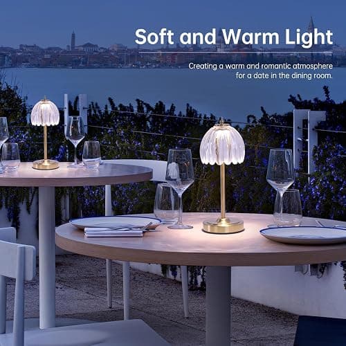 Shenmoyl Tulip Table Lamp with 5000mAh Battery & Touch Control, Cordless Small Table Lamp with 3 Colors, Dimmable Rechargeable Table Lamps for Living Room, Bedroom, Desk, Bedside (Transparent Tulip) thumbnail 5