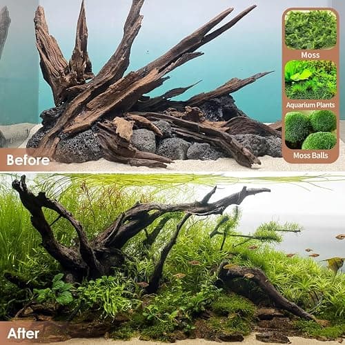 Jorewood Natural Aquarium Driftwood for Fish Tanks & Reptile Terrariums – Safe Fish Tank Decorations, Unique Twisted Branches 3-Piece 7-11 Inch Low Tannin, Easy to Sink thumbnail 7