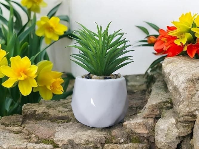 GRIFTO Fake Plants Set of 4 Artificial Plants Indoor Mini Ceramic Pot Faux Succulent Plant Foliage for Coffee Table Home Bedroom Bathroom Room Decor Shelf Office Desk Kitchen Garden Indoor Outdoor thumbnail 8