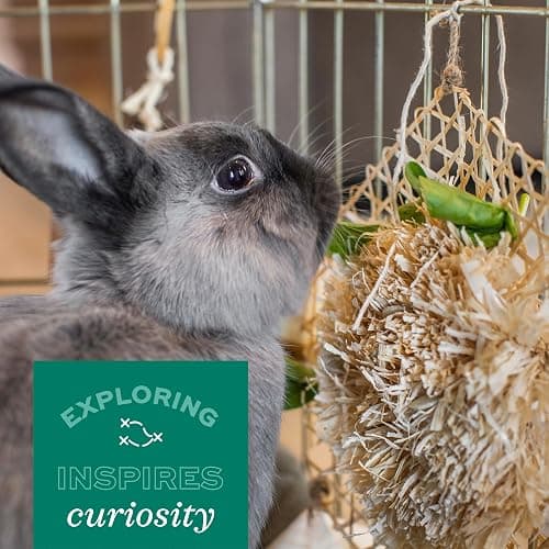 Oxbow Play Wall, Rabbit & Guinea Pig Toys, Guinea Pig Accessories, Small | Woven Play Wall For Rabbits, Guinea Pigs, Hamsters, Chinchillas & Rats, Bunny Enrichment Toys, Guinea Pig Enrichment thumbnail 8