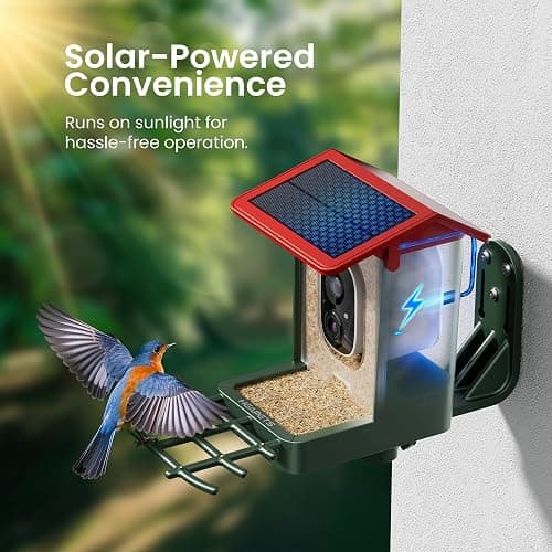 Smart Bird Feeder with Camera Solar Powered, 2K HD Video, AI Bird Species Identification, Instant Arrival Alerts, Weatherproof Design for Effortless Birdwatching, Best Gift for BirdLovers, Red thumbnail 5