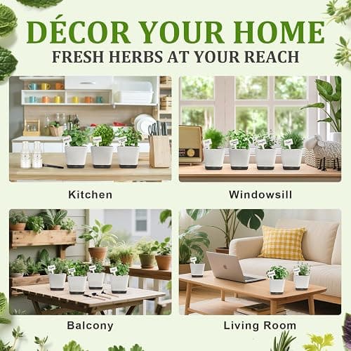 10-Set Indoor Herb Garden Starter Kit, 7 Seeds Growing into Basil, Parsley, Thyme, Mint, Cilantro, Dill, Oregano Including 10 White Pots, Markers, Nutritional Soil, Ideal Christmas Gifts for Women thumbnail 6