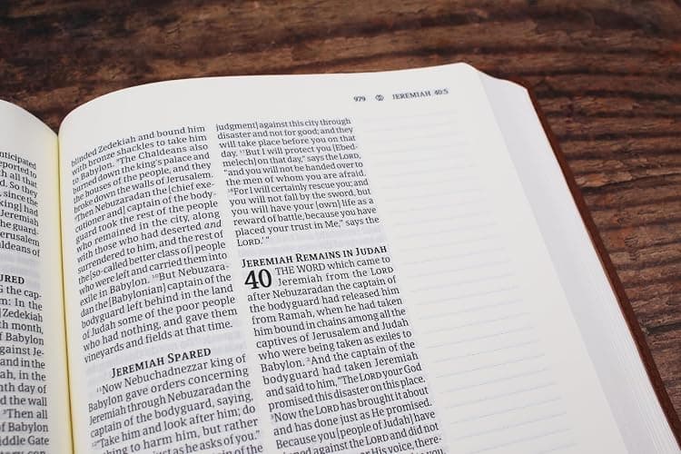 Amplified Journal the Word Bible, Leathersoft, Brown: Reflect, Take Notes, or Create Art Next to Your Favorite Verses thumbnail 7