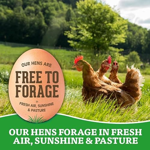 Organic Eggs Free Range Large Brown, 12 Count thumbnail 4