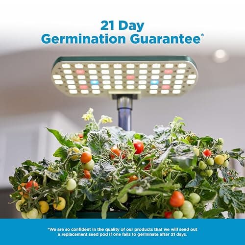 AeroGarden Harvest Lite in Green, Soil-Free Indoor Hydroponic Garden with LED Grow Light for Year-Round Gardening of up to 6 Herbs and Vegetables thumbnail 7