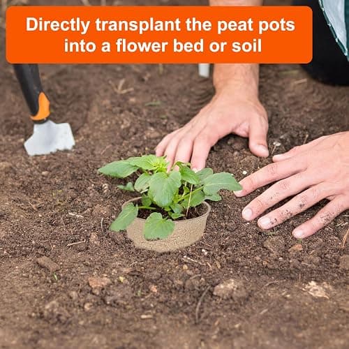 JNYONG 60 Packs 3.15 Inch Peat Pots,Biodegradable Pots for Seedlings with Drainage Holes, Garden Germination Nursery Pots with 50Pcs Plant Labels thumbnail 6