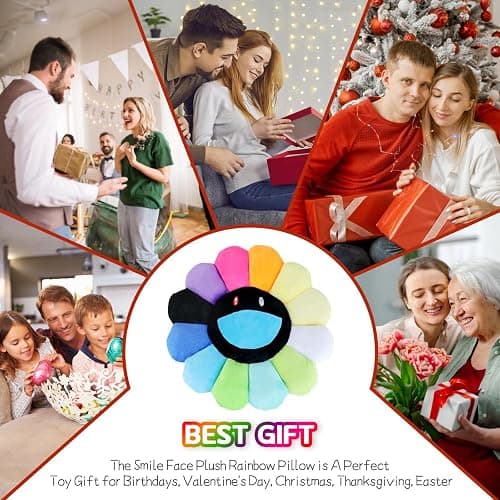 SNEPOO Smile Face Plush Rainbow Pillow, Sunflower Indie Decor Plush Pillow Soft & Comfortable Flower Floor Pillow for Home Reading Bed Room Decoration (40CM, Black and White) thumbnail 5