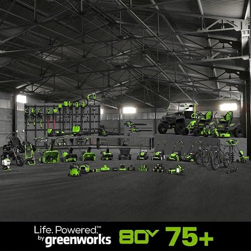 Greenworks 80V 10" Cordless Polesaw (Great For Pruning and Trimming Branches / 75+ Compatible Tools), Tool Only thumbnail 6