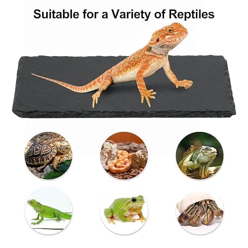 CAPASTEC Reptiles Slate Rocks, Basking Surface Reptile Basking Platform, Enhances Climbing Activity, 7.87"x3.94", Black Gray thumbnail 5