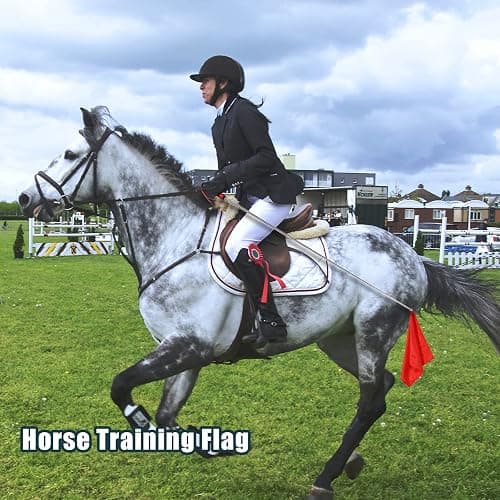 4pcs Horse Training Flag, 5.25 Feet Red Telescopic Flag Poles with 17.1x17.1inch Retractable Horse Training Equipment Horse Flag (Four Colors) thumbnail 2