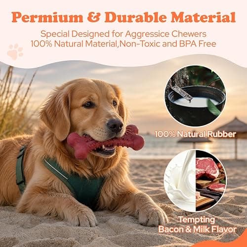 3 Pack Dog Chew Toys for Aggressive Chewers, interactive dog toys | 100% Natural Rubber Squeaky Rugby, Bacon & Milk Flavored, Durable Interactive Oral Care Toys for Medium & Large Breeds thumbnail 4