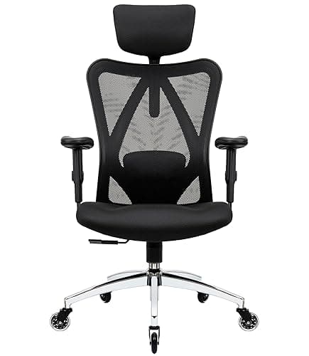 Duramont Ergonomic Office Chair