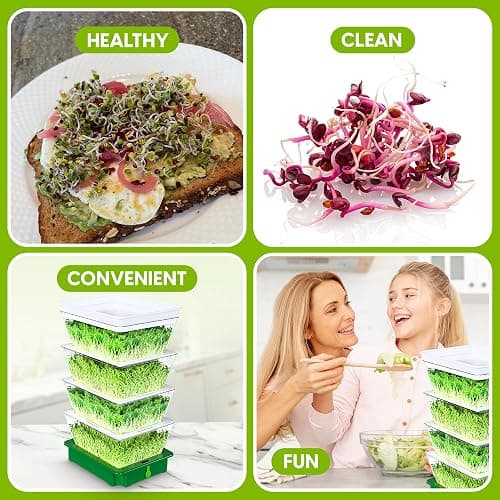 ZESTIGREENS 4-Tier Sprouting Kit with Drain Spout – Stackable Seed Sprouter Trays for Growing Fresh Sprouts at Home – BPA-Free, Easy Rinse & Drain System thumbnail 8