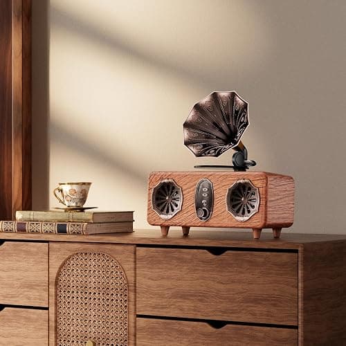 FREEFISH Retro Bluetooth Speaker Retro Radio with 5.4 Bluetooth Version, FM Radio, Bass Vintage Wireless Speaker Support USB/TF/AUX Player for Home Office Room Bedroom, Decorations thumbnail 8
