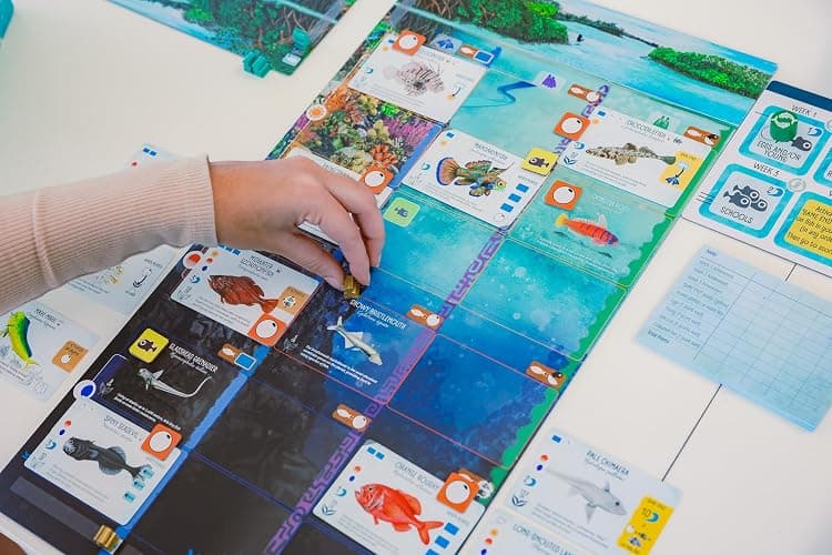 Finspan board game thumbnail 4