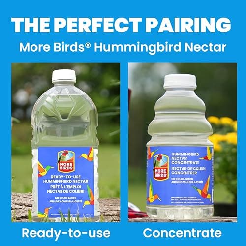 More Birds Red Jewel Hummingbird Feeder, Glass Bottle, 5 Feeding Ports and 20-Ounce Nectar Capacity (76IN) thumbnail 10