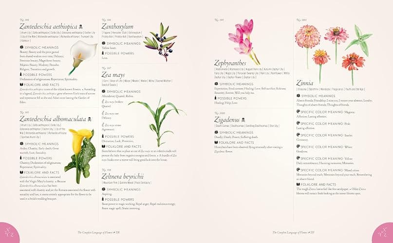 The Complete Language of Flowers: A Definitive and Illustrated History (Volume 3) (Complete Illustrated Encyclopedia, 3) thumbnail 16