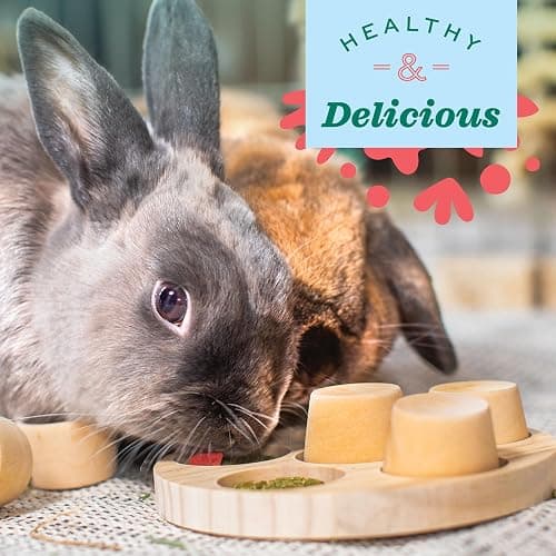 Oxbow Simple Rewards Small Pet Treats, Freeze Dried Fruit, Guinea Pig & Bunny Treats, Healthy Pet Fruit Snack for Rabbit & Guinea Pig, Freeze Dried Strawberries, 0.5 oz Bag thumbnail 6