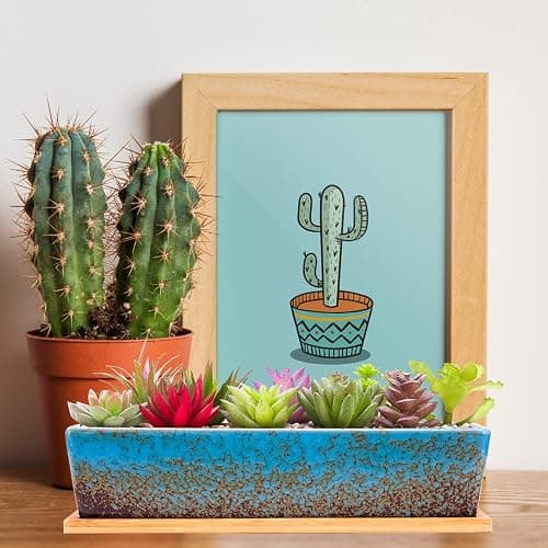 Succulent Pots - 12.1 Inch Large Succulent Planters Pots with Drainage Tray, Long Rectangle Ceramic Pot for Indoor Cactus/Succulent Plants Shallow Bonsai Window Box for Home Garden Decor (Blue) thumbnail 2