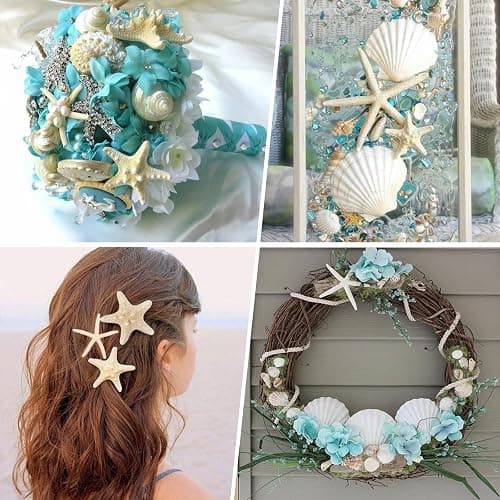 JQAQJU 3-4 Inches Large Starfish and Scallop Shells for Crafts 12PCS, Natural Beach Sea Shells for Crafting, Baking Shells Perfect for White Christmas Decor Beach Party Wedding Fishtank DIY Crafts thumbnail 4