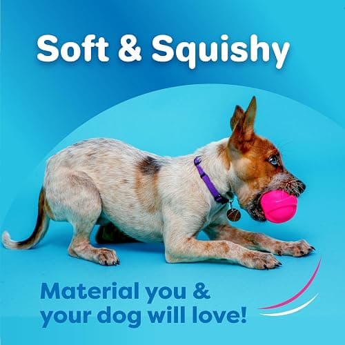 Hartz DuraPlay Ball Squeaky Latex Dog Toy, Neon Green, Neon Pink & Neon Orange, Large 3 Count Pack thumbnail 2