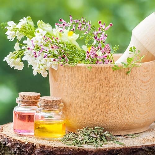 Patelai 24 Pack Small Glass Jars with Cork Stoppers Mini Potion Bottles Clear Empty Glass Bottles for DIY Art Crafts Message Decoration for Wedding Birthday Gifts Party Favors (50 ml/1.7 oz) - 50 ml/1.7 oz - 24 thumbnail 5
