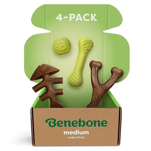 Benebone 4-Pack Ball/Bone/Bacon Wishbone/Fishbone Medium - Image 1