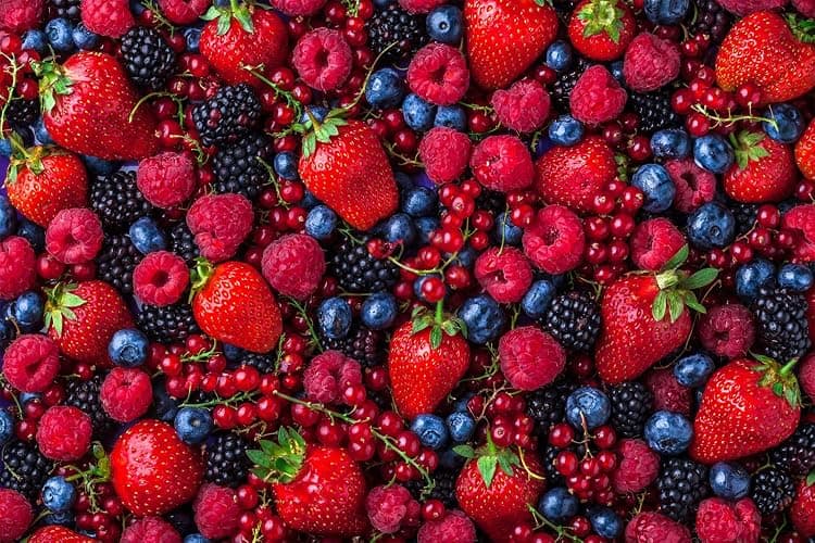 1200+ Mix Fruit Seeds Berry Seeds for Planting (9 Varieties) Heirloom Strawberry Raspberry Mulberry Apple Orange Blueberry Lemon Elderberry Cherry Seed for Home Garden thumbnail 4