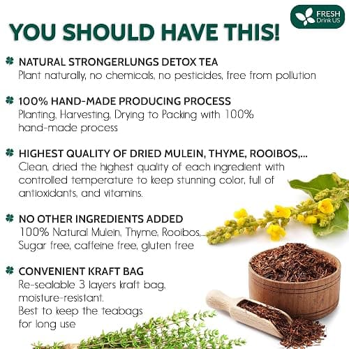 FreshDrinkUS StrongerLungs 20 Tea Bags - Mullein Leaf, Ginseng, Elderberry, Ginger & Thyme - Supports Lung Cleanse, Congestion Relief & Mucus Detox - Caffeine-Free & All-Natural thumbnail 2