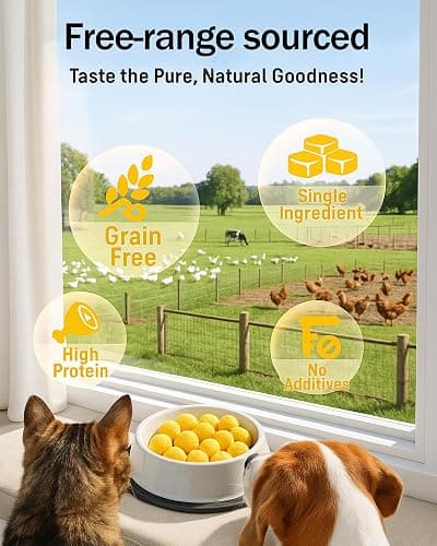 Pawaura 10.6oz Freeze Dried Quail Egg Yolk Cats & Dogs, Treats, Single Ingredient, Freeze-Dried Pet Food for Dogs, Cats, No Additives | Grain Free | Support for Skin and Coat Health thumbnail 3
