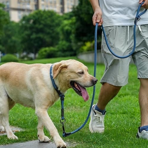 MORXIL Rope Dog Leash, 6 Foot Heavy Duty Dog Leash with Aviation Aluminum Auto Locking Carabiner, Strong Nylon Pet Lead for Small, Medium, Large Dogs (Blue, 6FT) thumbnail 7