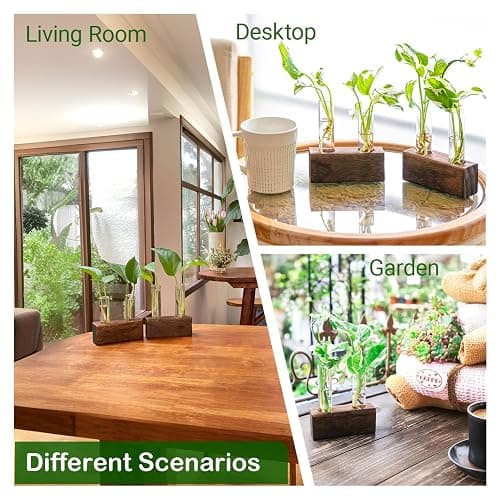 Propagation Station, Plants Terrarium, Plants Lover Gifts for Women,Plant Cutting Holder Home décor,Gifts for Women,House Warming New Home-4 Tubes-Brown thumbnail 5